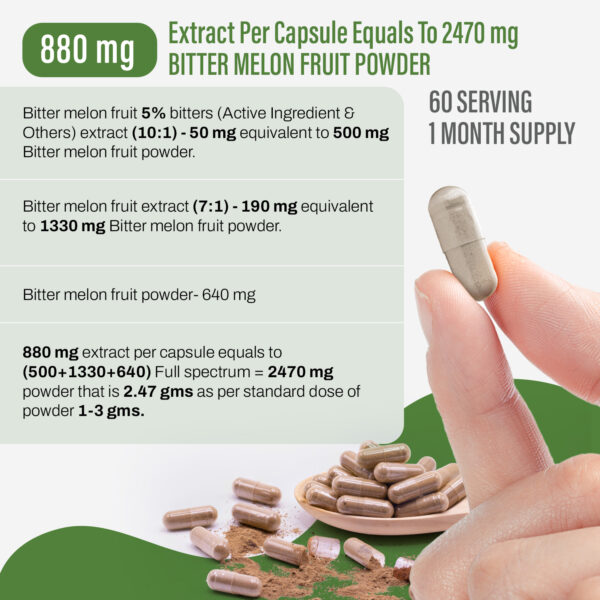 Bitter Melon Capsules (Momordica Charantia) - 5% Bitters - Extract Ratio 10:1 - 60 Vege Capsules - 880 mg each