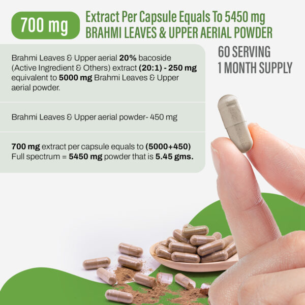 Brahmi Capsules (Bacopa Monnieri) - 20% Bacoside - Extract Ratio 20:1 - 60 Vege Capsules - 700 mg each