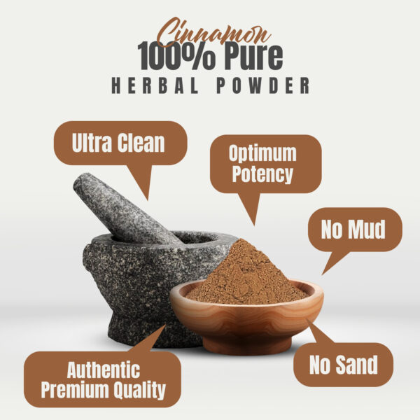 bnr2_cinnamon_powder_230 Cinnamon Powder (Cinnamomum Verum) - Non GMO - Vegan - (230Gms - ½ LBS)