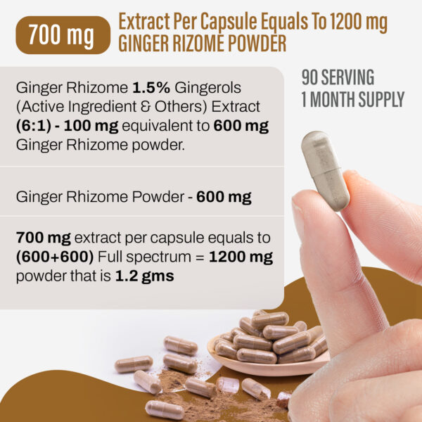 bnr2_ginger_90Caps Ginger Capsules - Zingiber Officinale - 1.5% Gingerols - Extract Ratio 6:1 - 90 Vege Capsules - 700 mg each