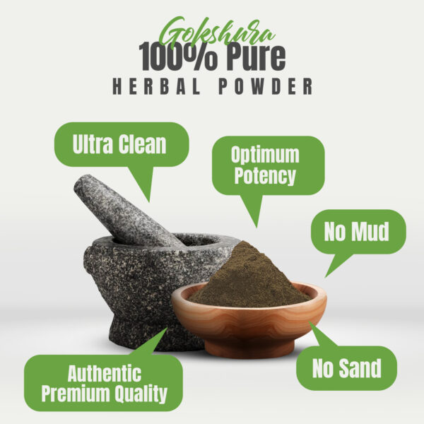 bnr2_gokshura_powder_454 Gokshura Powder (Tribulus Terrestris) - Non GMO - Vegan - (454Gms - 1LBS)