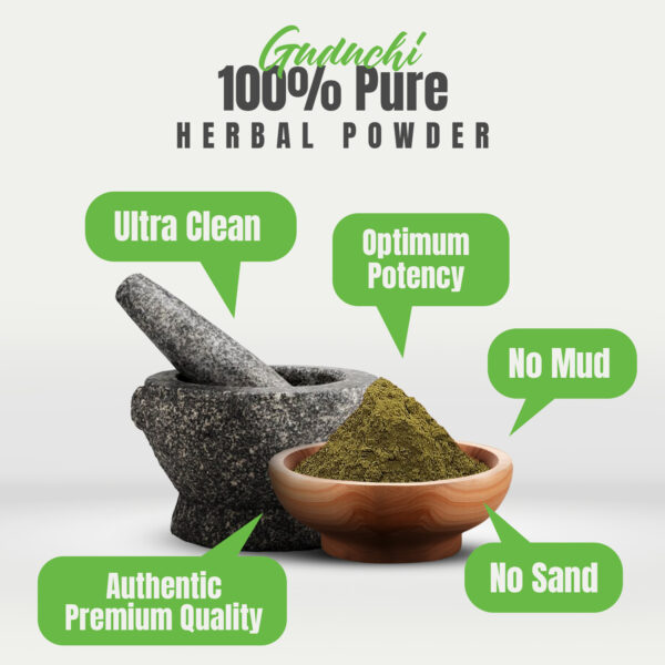 Gurmar Powder (Gymnema Sylvestre) – Non GMO – Vegan – (454 Gms – 1LBS)