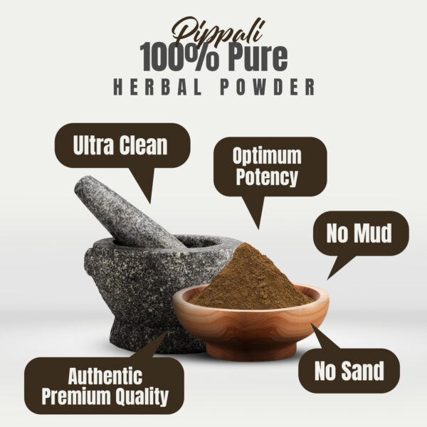 Pippali Powder (Piper Longum) - Non GMO - Vegan - (230 Gms- ½ LBS)