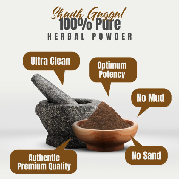 bnr2_shudh-guggul_powder_230 Shudh (Purified) Guggul Resin Powder – (Commiphora Mukul) – Non GMO - Vegan – 230 Gms - ½ LBS