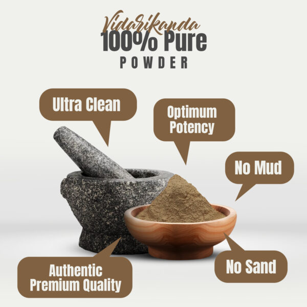 Vidari Kanda Powder (Pueraria Tuberosa) - Non GMO - Vegan - (454 Gms - 1LBS)