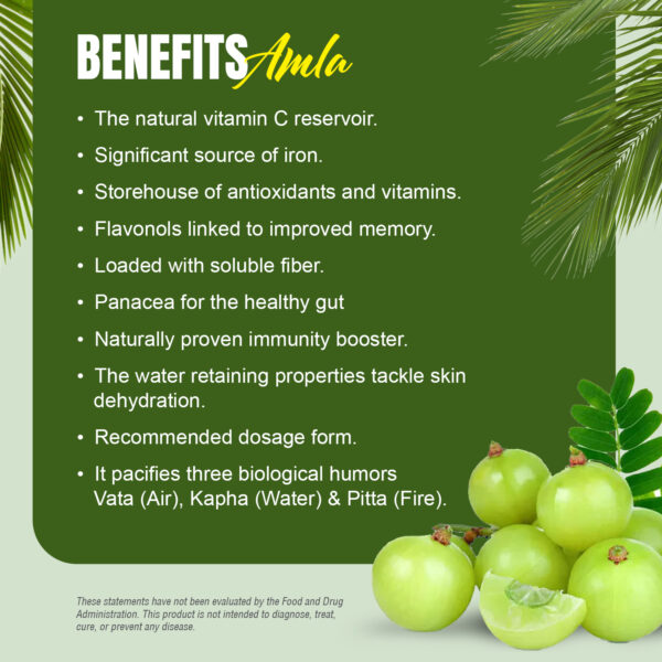 Amla Capsules - Embelica Officinalis - 45% Tannins - Extract Ratio 10:1 - 60 Vege Capsules - 950 mg each