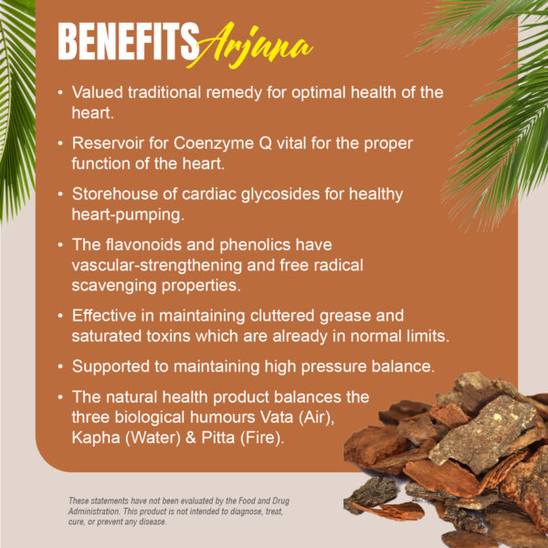 bnr4_arjuna_60Caps_benefits Arjuna Capsules - Terminalia Arjuna - 40% Tannins - Extract Ratio 10:1 - 60 Vege Capsules - 850 mg each