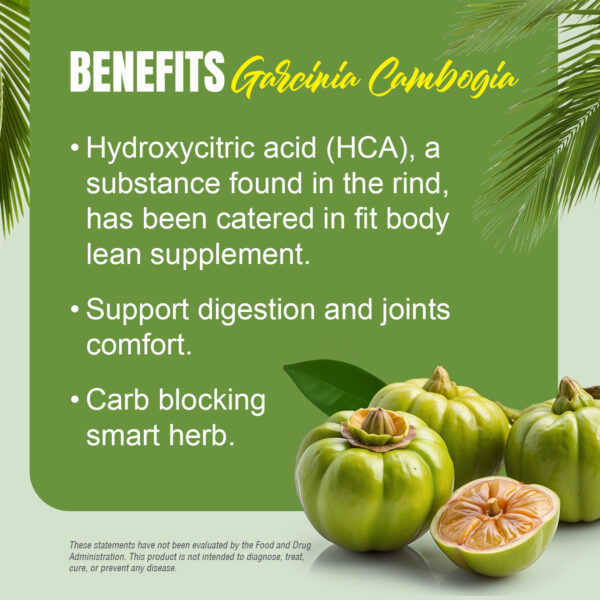 bnr4_garcinia_cambogia_90Caps_benefits Garcinia Capsules - Garcinia cambogia - 60% HCA - Extract Ratio 5:1 - 90 Vege Capsules - 650 mg each