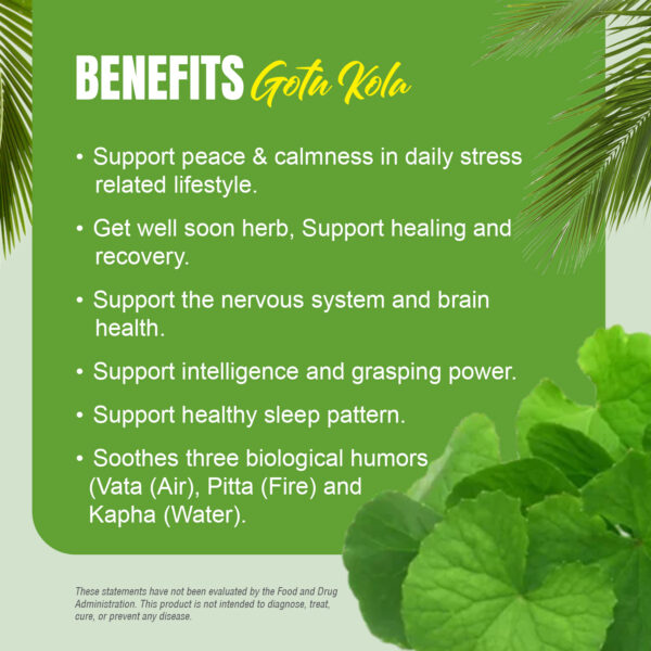 Gotu kola Capsules – Centella Asiatica - 20% triterpene - Extract Ratio 10:1 - 60 Vege Capsules - 880 mg each