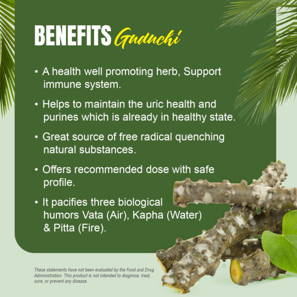 Guduchi Capsules – Tinospora Cordifolia - 3% to 5% bitters - Extract Ratio 10:1 - 60 Vege Capsules - 800 mg each