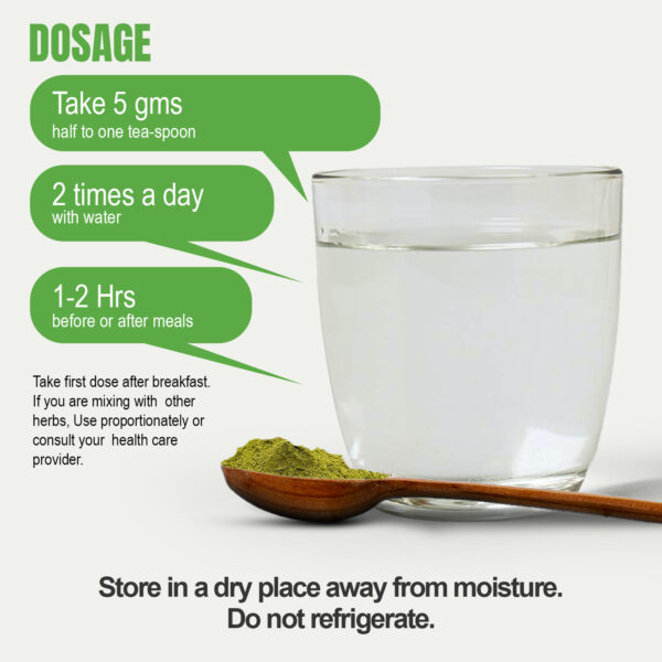 Moringa Powder (Moringa Oleifera) - Non GMO - Vegan - (230 Gms - ½ LBS)