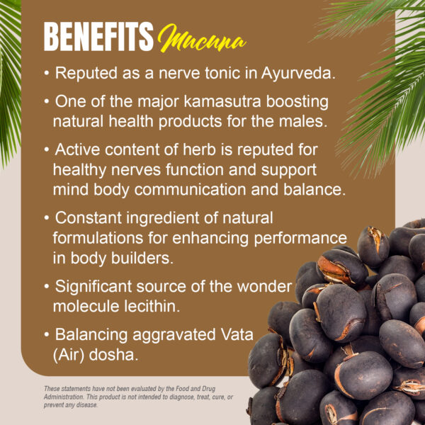 Mucuna Capsules - Mucuna Pruriens - 30% - Extract Ratio 15:1 - 60 Vege Capsules - 840 mg each