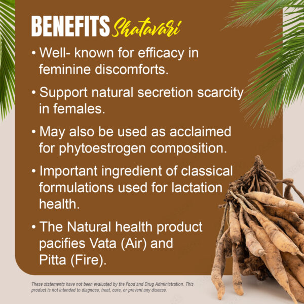 Shatavari Capsules – Asparagus Racemosus - 40% saponin - Extract Ratio 8:1 - 60 Vege Capsules - 750 mg each