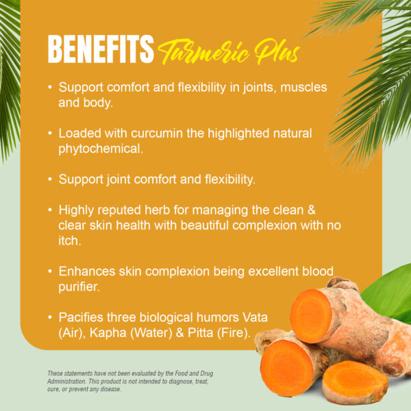 Turmeric Capsules – Curcuma longa - 95% Curcumin with Ginger, Pippali, Black Pepper and Tulsi - 90 Vege Capsules - 800 mg each