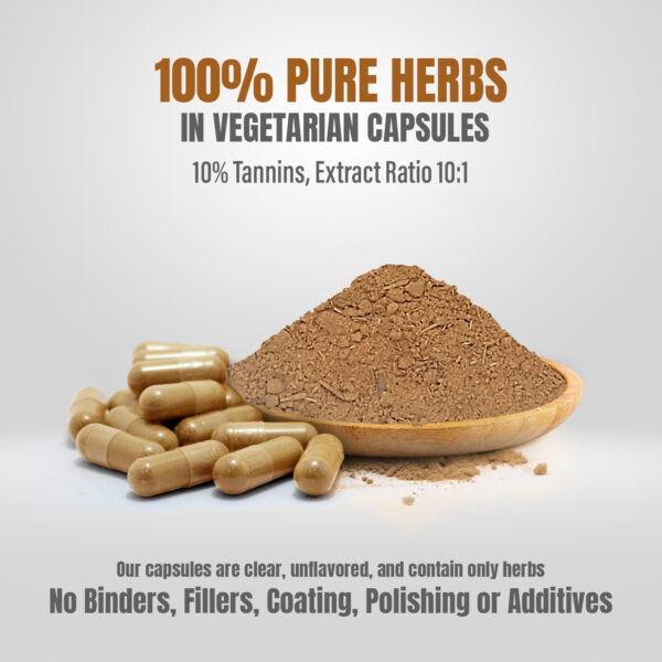 bnr5_bijasar_60Caps Bijasar Capsules - Pterocarpus Marsupium - 10% Tannins - Extract Ratio 10:1 - 60 Vege Capsules - 750 mg each