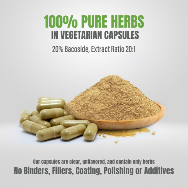 Brahmi Capsules (Bacopa Monnieri) - 20% Bacoside - Extract Ratio 20:1 - 60 Vege Capsules - 700 mg each