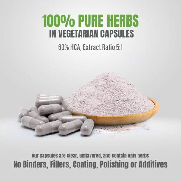 bnr5_garcinia_cambogia_90Caps Garcinia Capsules - Garcinia cambogia - 60% HCA - Extract Ratio 5:1 - 90 Vege Capsules - 650 mg each