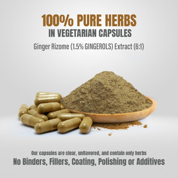 bnr5_ginger_plus_90Caps Ginger Capsules - Zingiber Officinale - 1.5% Gingerols - Extract Ratio 6:1 - 90 Vege Capsules - 700 mg each
