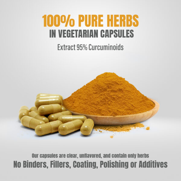 Turmeric Capsules – Curcuma longa - 95% Curcumin with Ginger, Pippali, Black Pepper and Tulsi - 90 Vege Capsules - 800 mg each