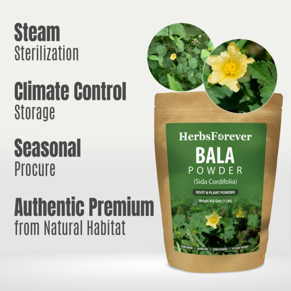 Bala Powder (Sida Cordifolia) - Non GMO - Vegan - (454 Gms -1 LBS)