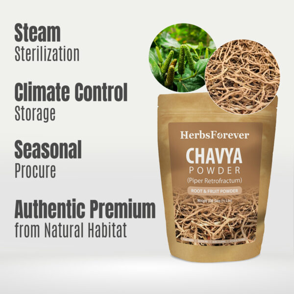 Chavya Powder (Piper Retrofractum) - Non GMO - Vegan - (230 Gms-1/2LBS)