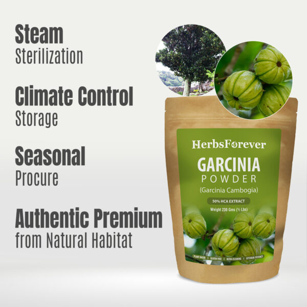 Garcinia Cambogia Powder (Garcinia Cambogia) - Non GMO - Vegan - 230 Gms - ½ LBS