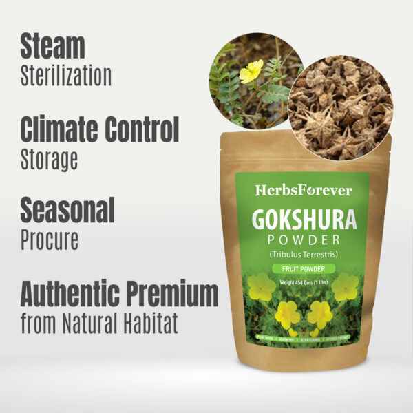 bnr6_gokshura_powder_454 Gokshura Powder (Tribulus Terrestris) - Non GMO - Vegan - (454Gms - 1LBS)