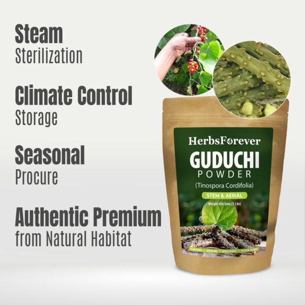 Guduchi powder – (Tinospora Cordifolia) – Non GMO - Vegan - 454Gms - 1LBS