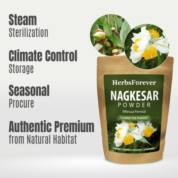 bnr6_nagkesar_powder_454 Nagkesar Powder (Mesua Ferrea) - Non GMO - Vegan - 454 Gms - 1LBS