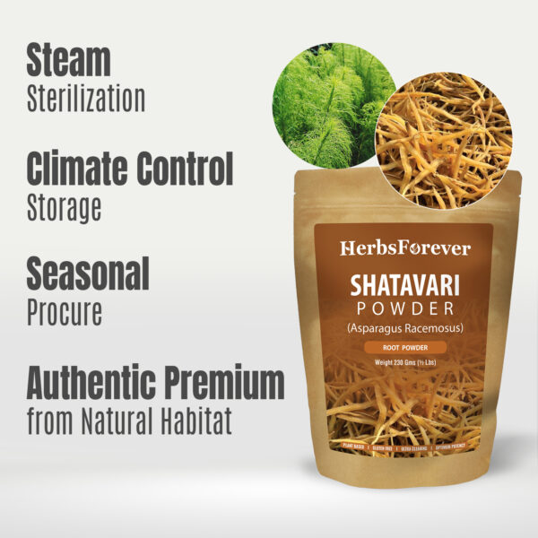 Shatavari Powder (Asparagus Racemosus) - Non GMO - Vegan - (230Gms -  ½ LBS)