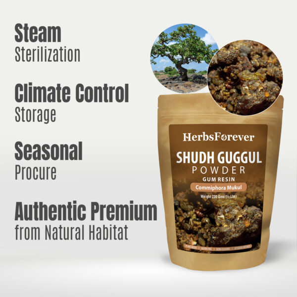bnr6_shudh-guggul_powder_230 Shudh (Purified) Guggul Resin Powder – (Commiphora Mukul) – Non GMO - Vegan – 230 Gms - ½ LBS