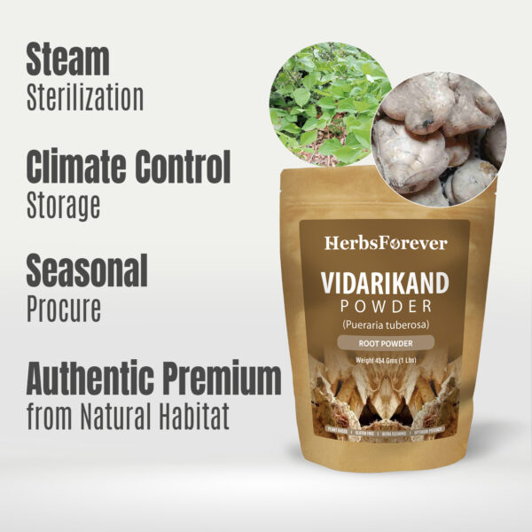 Vidari Kanda Powder (Pueraria Tuberosa) - Non GMO - Vegan - (454 Gms - 1LBS)