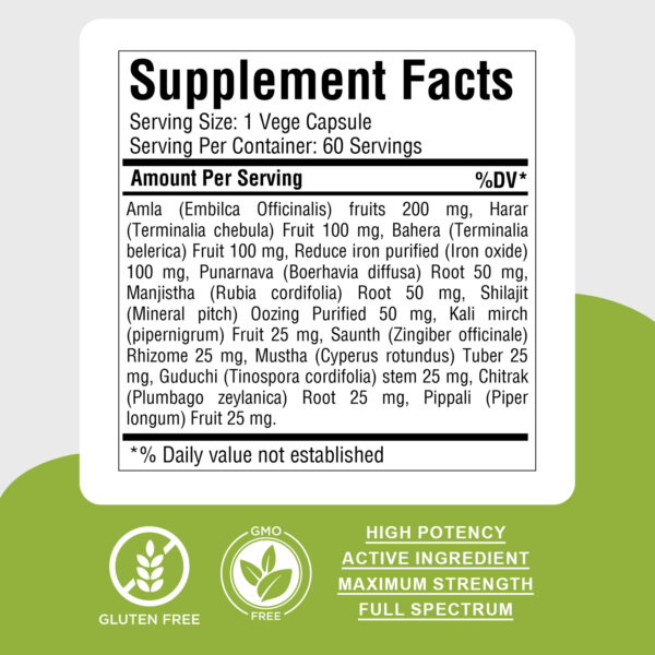 Iron Plus Capsules - Ayurvedic Herbal Supplement – 60 Vege Capsules – 800 Mg Each