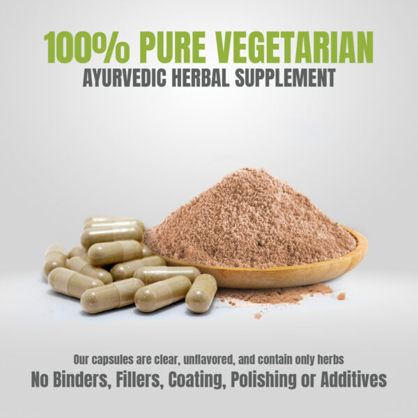 bnr5_blood-cleaner_90Caps Blood Cleaner - Ayurvedic Herbal Supplement – 90 Vege Capsules – 800 Mg Each