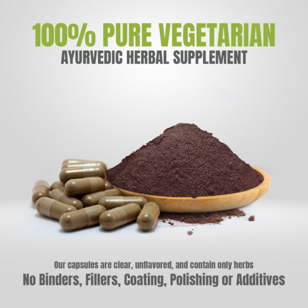 Digestive Care Capsules - Ayurvedic Herbal Supplement – 90 Vege Capsules – 800 Mg Each