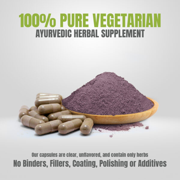 Iron Plus Capsules - Ayurvedic Herbal Supplement – 60 Vege Capsules – 800 Mg Each