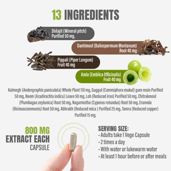 Arogya Vardini Vati - Ayurvedic Herbal Supplement - 90 Vege Capsules - 800 Mg Each
