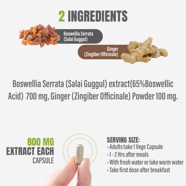 Boswellia Serrata (Salai Guggul) - 65% Boswellic Acid - 90 Vege Capsules - 800 mg each