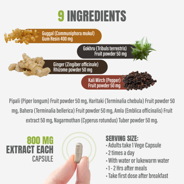 bnr2_gokshuradi_guggul Gokshuradi Guggulu - Ayurvedic Herbal Supplement - 90 Vege Capsules - 800 Mg Each