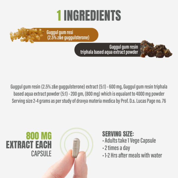 Guggul Resin Capsules – Commiphora Wightii - 2.5% Z&E - Extract Ratio 5:1 - 90 Vege Capsules - 800 mg each