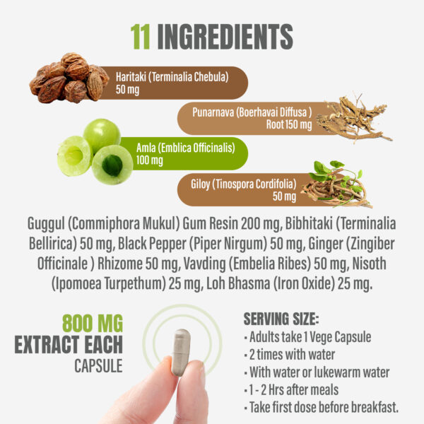 Punarnavadi Guggulu - Ayurvedic Herbal Supplement - 90 Vege Capsules - 800 Mg Each