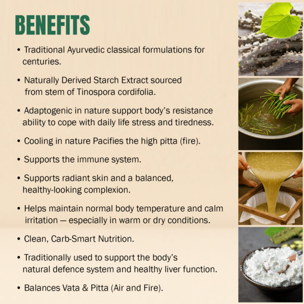 Guduchi Satva Powder - Tinospora Cordifolia - Non GMO - Vegan - 100 Gms