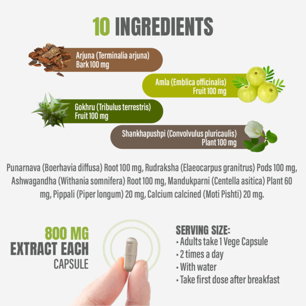 bnr2_cardio-b_90Caps Cardio-B - Ayurvedic Herbal Supplement – 90 Vege Capsules – 800 Mg Each