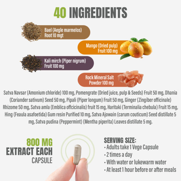 Digestive Care Capsules - Ayurvedic Herbal Supplement – 90 Vege Capsules – 800 Mg Each