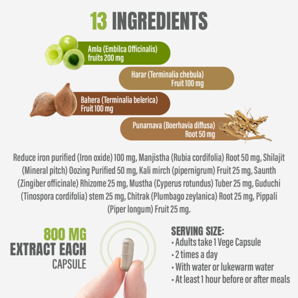 Iron Plus Capsules - Ayurvedic Herbal Supplement – 60 Vege Capsules – 800 Mg Each